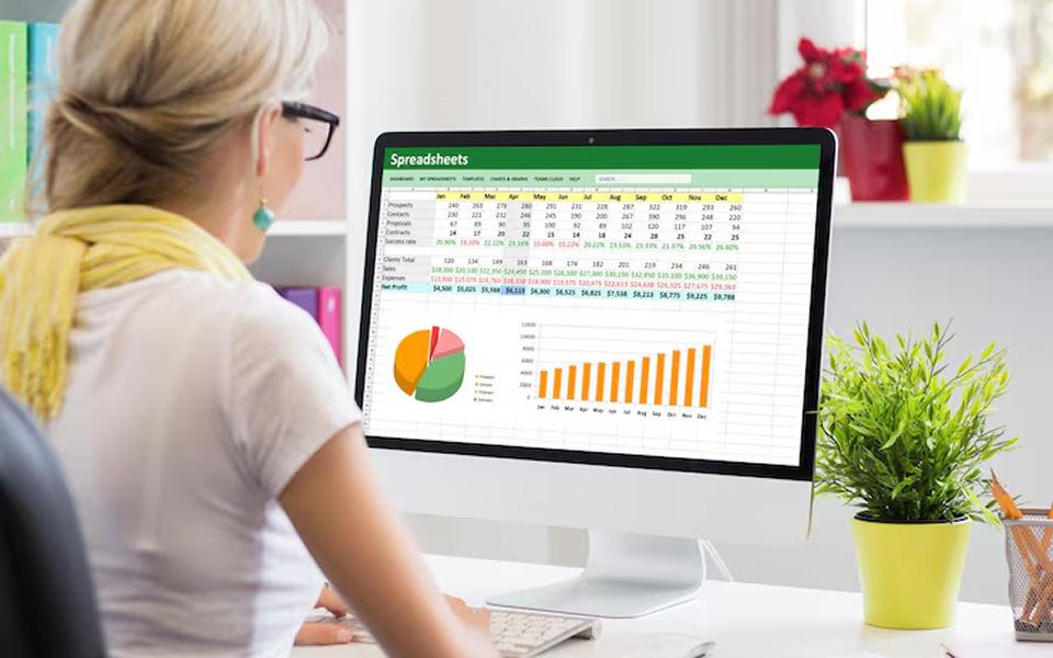 Office 2010 (Word, Excel, Access, PowerPoint)